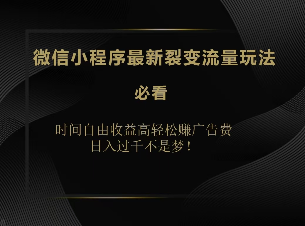 微信小程序最新裂变流量玩法，时间自由收益高轻松赚广告费，日入200-500+-爱省资源网