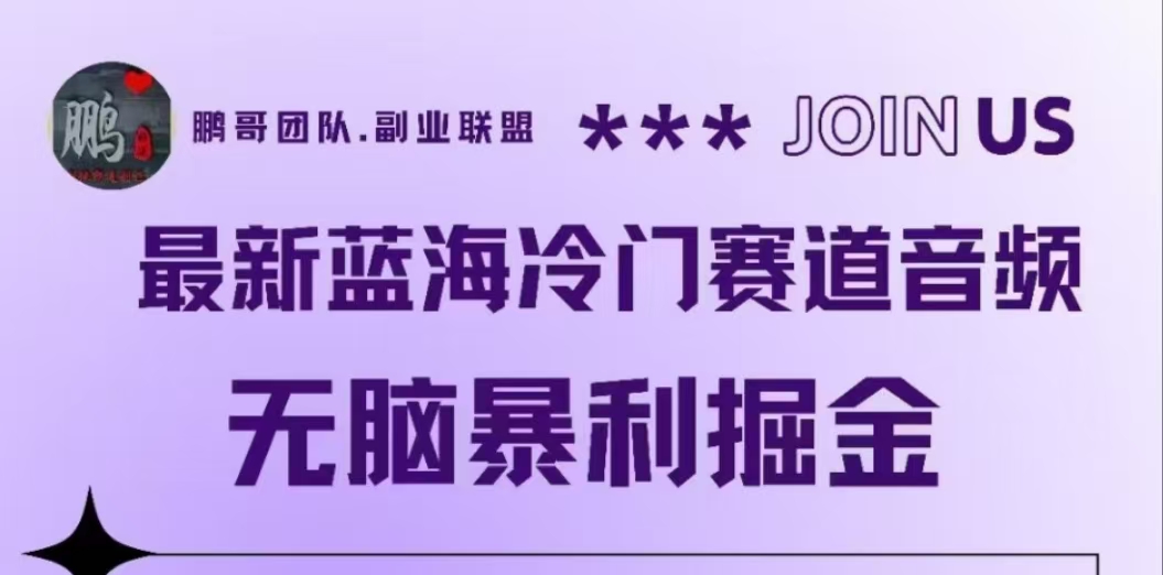 最新蓝海冷门赛道音频，无脑暴利掘金-爱省资源网