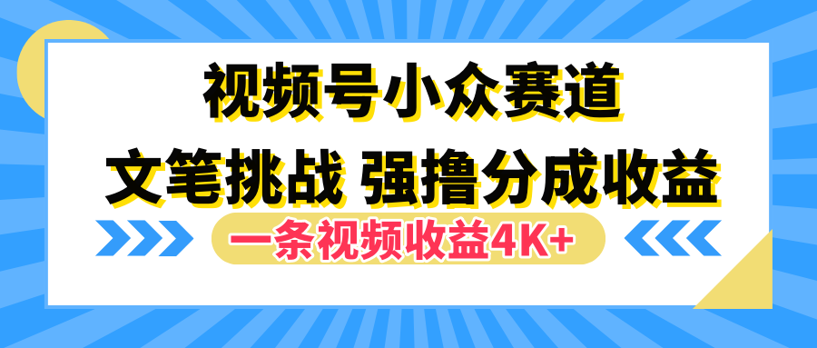 视频号小众赛道，文笔挑战，一条视频收益4K+-爱省资源网