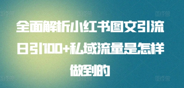 暴力引流 小红书图文引流日引100私域全面拆解【打粉人必看】-爱省资源网