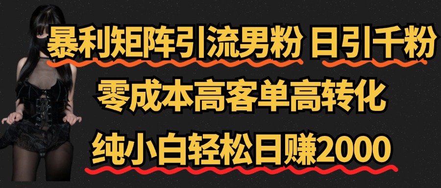 暴利矩阵引流男粉（日引千粉），零成本高客单高转化，纯小白轻松日赚2000+-爱省资源网