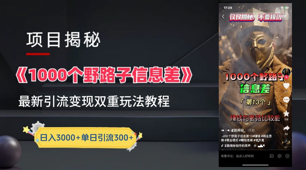 最新一千个野路子信息差玩法教程如何变现＋引流的玩法具体拆解！！！-爱省资源网