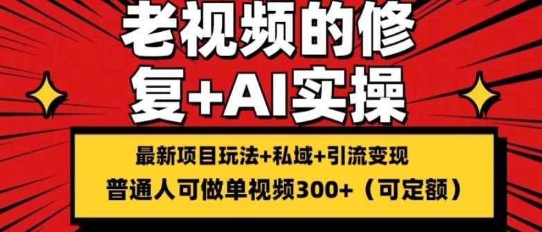 修复老视频的玩法，搬砖+引流的变现(可持久)，单条收益300+【揭秘】-爱省资源网