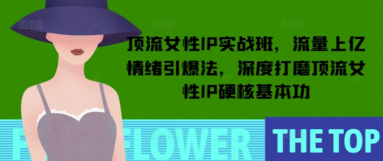 顶流女性IP实战班，流量上亿情绪引爆法，深度打磨顶流女性IP硬核基本功-爱省资源网