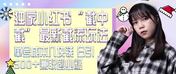 最新小红书截流玩法 独家截中截 单号成本几块钱 日引500+CY粉JZ粉-爱省资源网