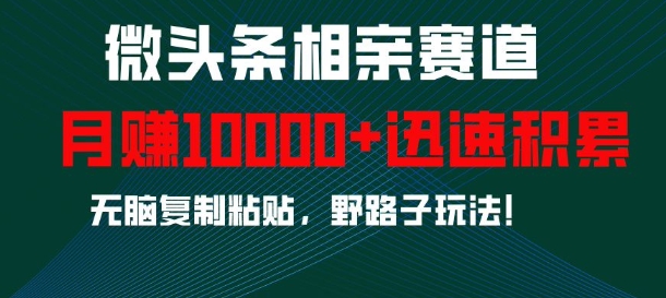 微头条相亲赛道，迅速积累，无脑复制粘贴，野路子玩法，月入1w-爱省资源网