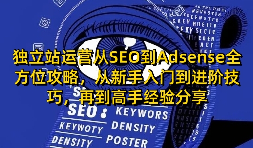 独立站运营从SEO到Adsense全方位攻略，从新手入门到进阶技巧，再到高手经验分享-爱省资源网