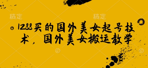1288买的国外美女起号技术，国外美女搬运教学-爱省资源网