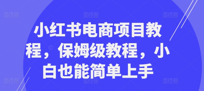 小红书电商项目教程，保姆级教程，小白也能简单上手-爱省资源网