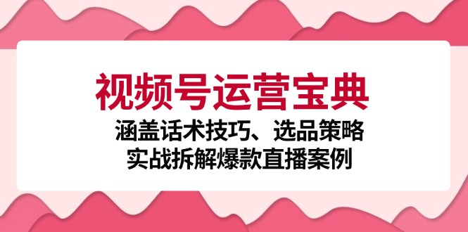 视频号运营宝典：涵盖话术技巧、选品策略、实战拆解爆款直播案例-爱省资源网