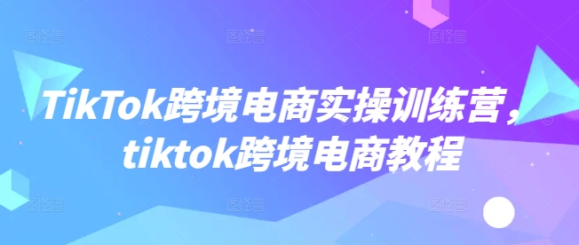 TikTok跨境电商实操训练营，tiktok跨境电商教程-爱省资源网