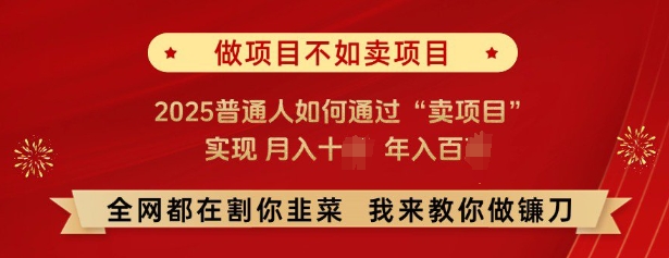 必看，做项目不如卖项目，2025普通人如何通过“卖项目”实现月入十个，年入百个-爱省资源网