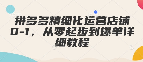 拼多多精细化运营店铺0-1，从零起步到爆单详细教程-爱省资源网