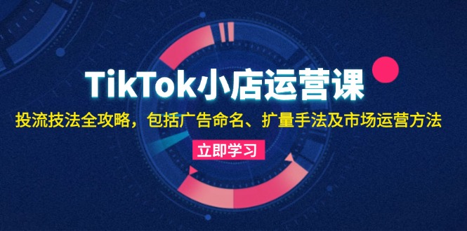 TikTok小店运营课：投流技法全攻略，包括广告命名 扩量手法及市场运营方法-爱省资源网