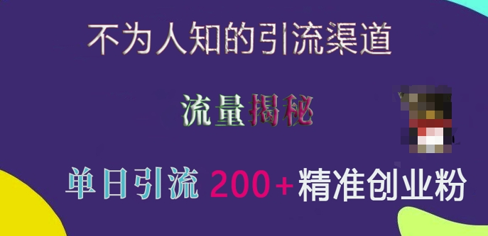 不为人知的引流渠道，流量揭秘，实测单日引流200+精准创业粉【揭秘】-爱省资源网