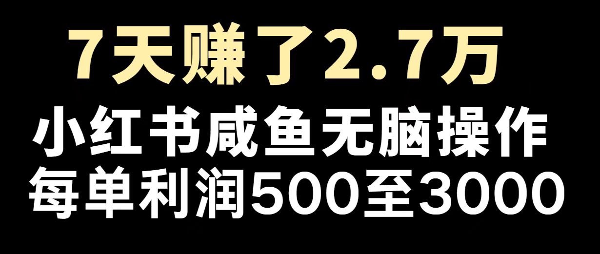 最赚钱项目之一，2025爆火，逆风翻盘！-爱省资源网