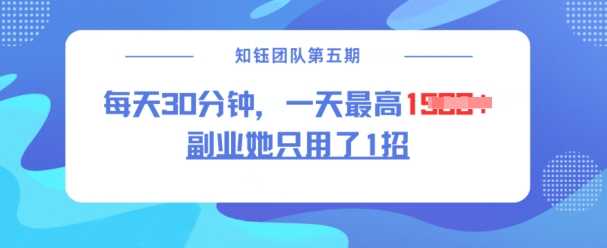 副业她只用了1招，每天30分钟，无脑二创，一天最高1.5k-爱省资源网