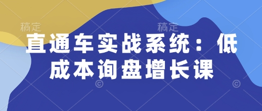 直通车实战系统：低成本询盘增长课，让个人通过技能实现升职加薪，让企业低成本获客，订单源源不断-爱省资源网