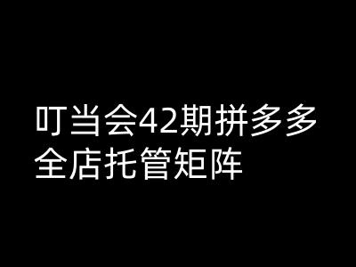 叮当会拼多多打爆班原创高阶技术第42期，拼多多全店托管矩阵-爱省资源网