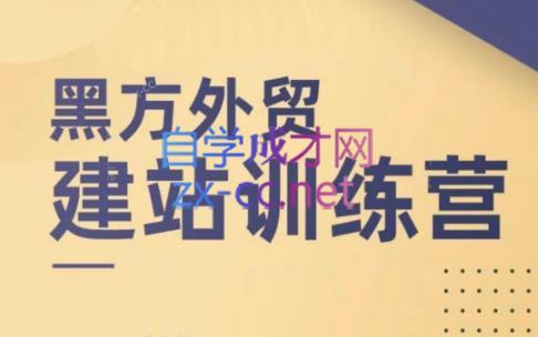 黑方老师·谷歌B端独立站建站推广-爱省资源网