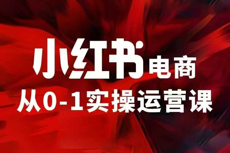 小红书电商运营，97节小红书vip内部课，带你实现小红书赚钱-爱省资源网