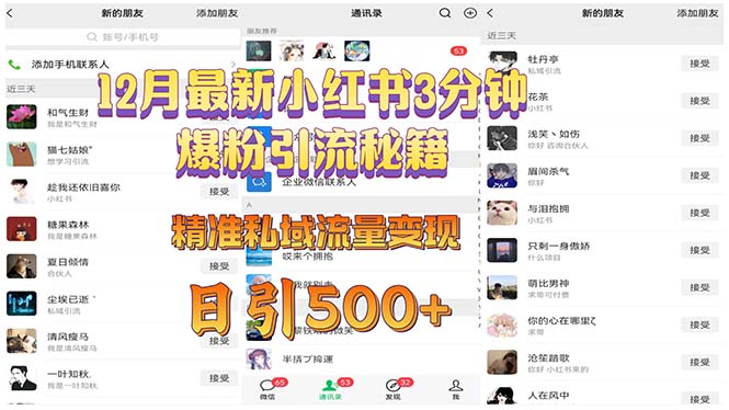 12月最新小红书3分钟爆粉引流秘籍 精准私域流量变现 日引500+-爱省资源网