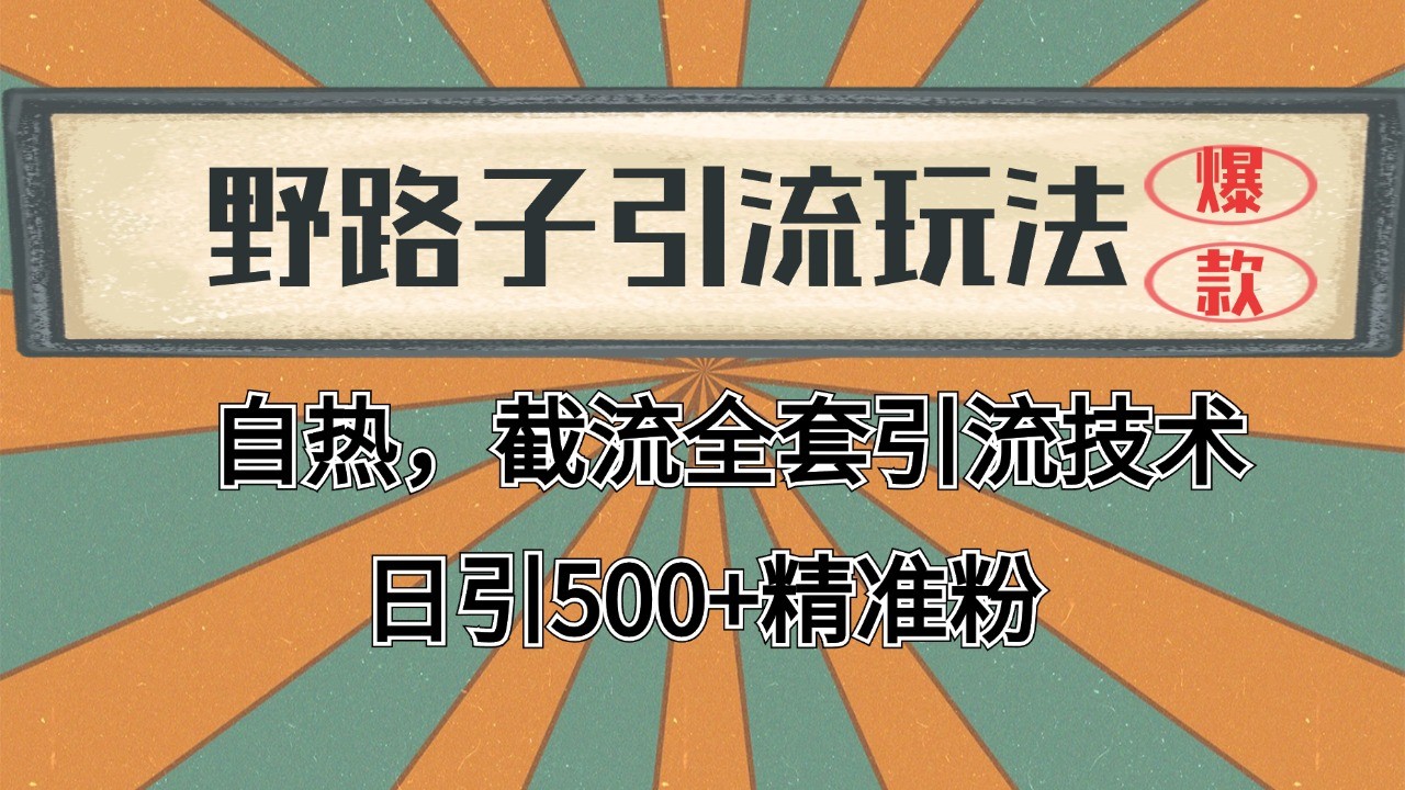 抖音小红书视频号全平台引流打法，全自动引流日引2000+精准客户-爱省资源网