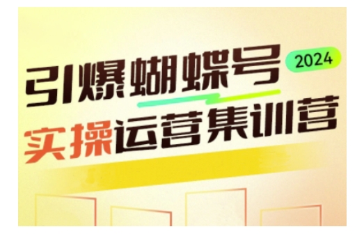 引爆蝴蝶号实操运营，助力你深度掌握蝴蝶号运营，实现高效实操，开启流量变现之路-爱省资源网