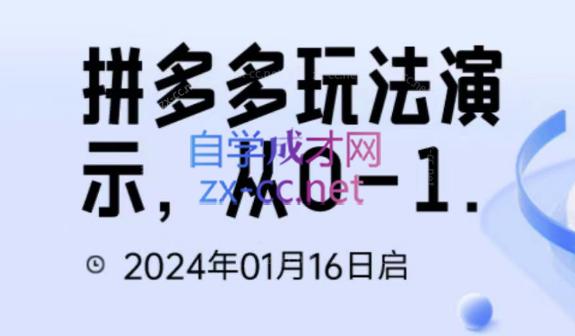 吴老师·拼多多从选品到截流到付费的玩法技巧-爱省资源网