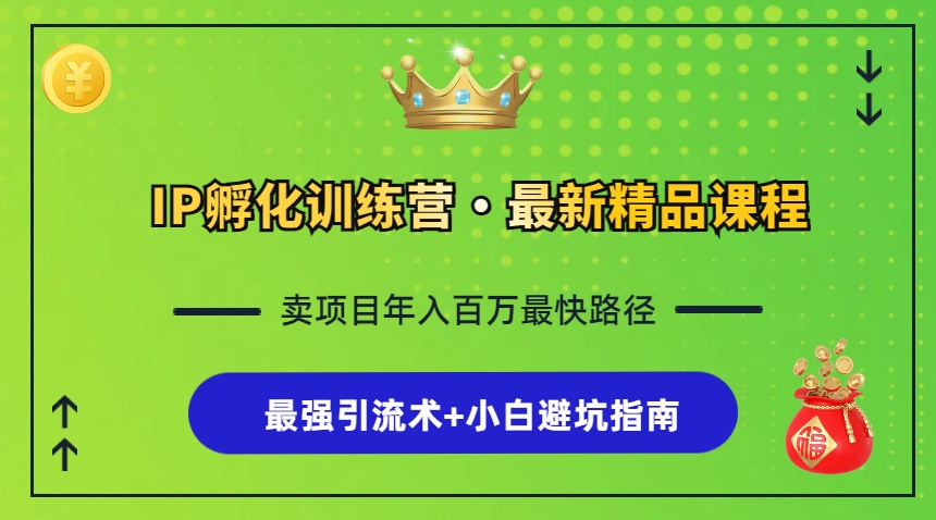 IP孵化训练营，知识付费全流程+最强引流术+小白避坑指南-爱省资源网