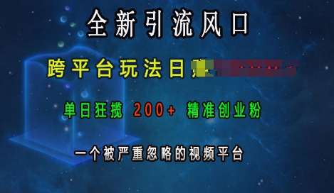 全新引流风口，跨平台玩法日入上k，单日狂揽200+精准创业粉，一个被严重忽略的视频平台-爱省资源网