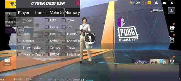 PUBG轻量老外裸奔绘制+自瞄 支持ROOT和框架 里面有全局离线-爱省资源网