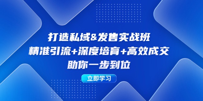 打造私域&发售实操班：精准引流+深度培育+高效成交，助你一步到位-爱省资源网