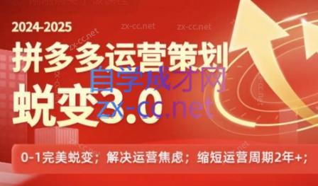 大力老师·2024拼多多运营策略蜕变3.0-爱省资源网