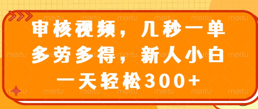 审核视频，几秒一单，多劳多得，新人小白一天轻松300+-爱省资源网
