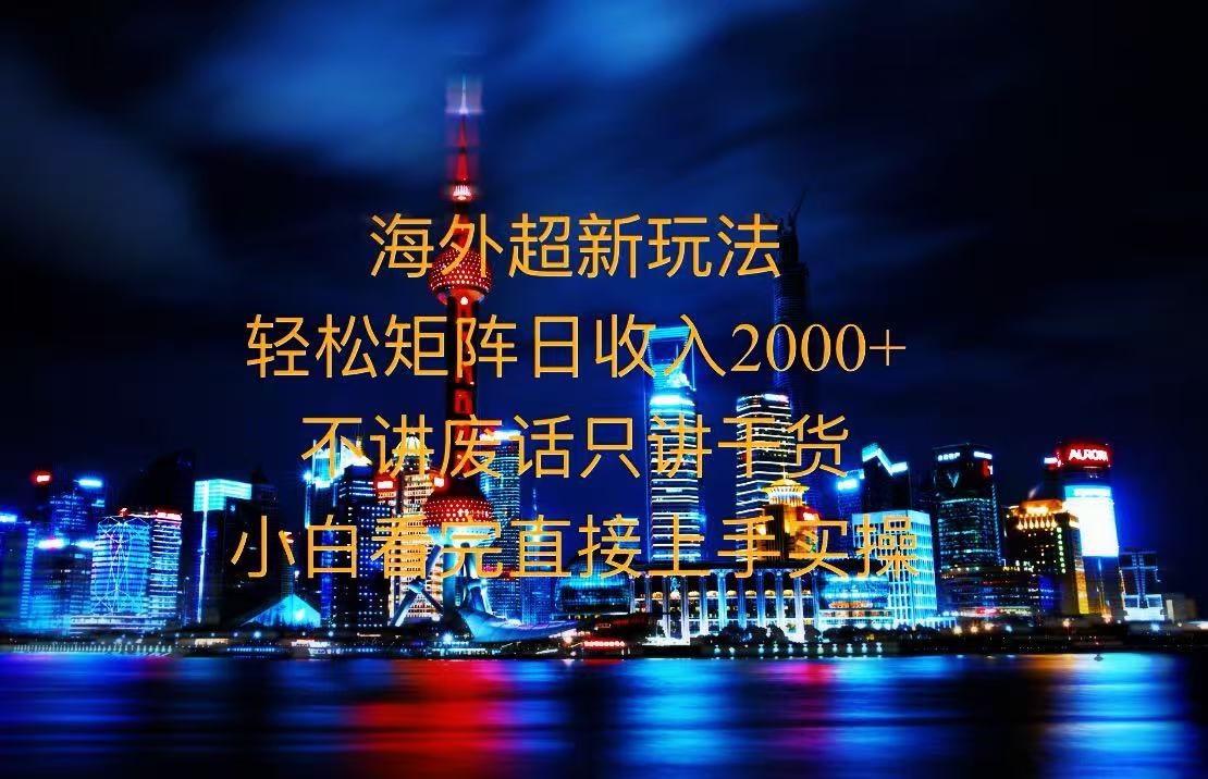 2025全新海外暴力玩法，操作简单，小白轻松上手-爱省资源网