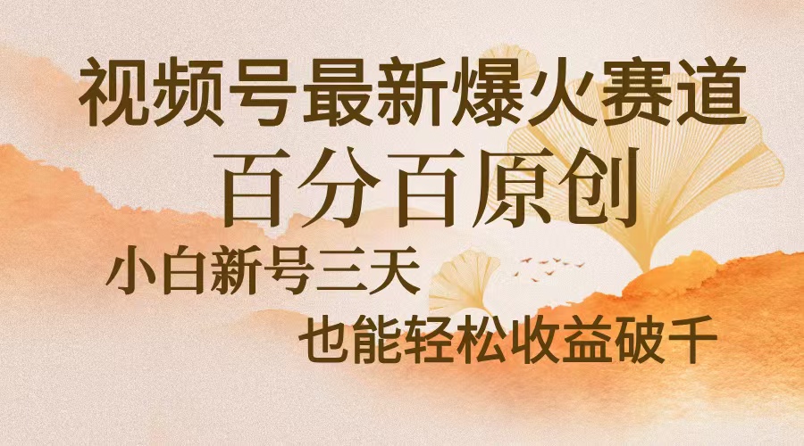 视频号最新爆火赛道，中老年粉深信不疑，百分百原创，新号三天收益轻松…-爱省资源网