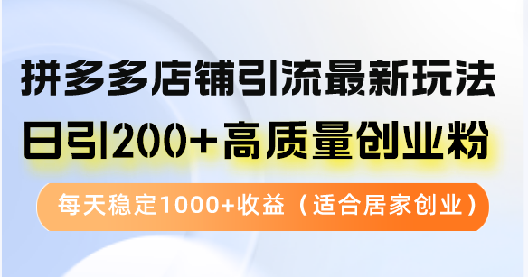 拼多多店铺引流最新玩法，日引200+高质量创业粉，每天稳定1000+收益(…-爱省资源网