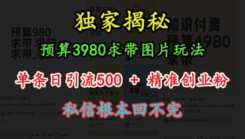预算3980求带 图片玩法，单条日引流500+精准创业粉，私信根本回不完-爱省资源网