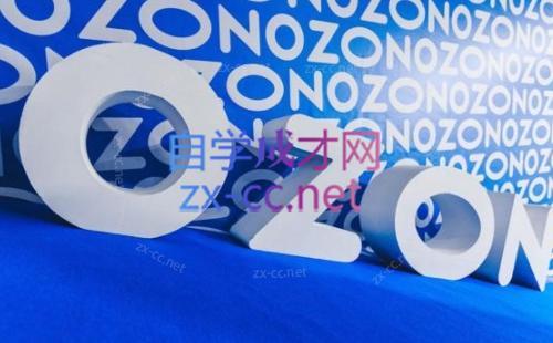 森哥·出海俄罗斯电商实操(2024)-爱省资源网