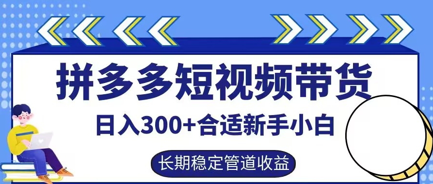 拼多多短视频带货日入300+有长期稳定被动收益，合适新手小白【揭秘】-爱省资源网