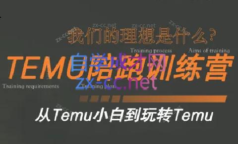 苗苗·拼多多跨境（temu）课程-爱省资源网