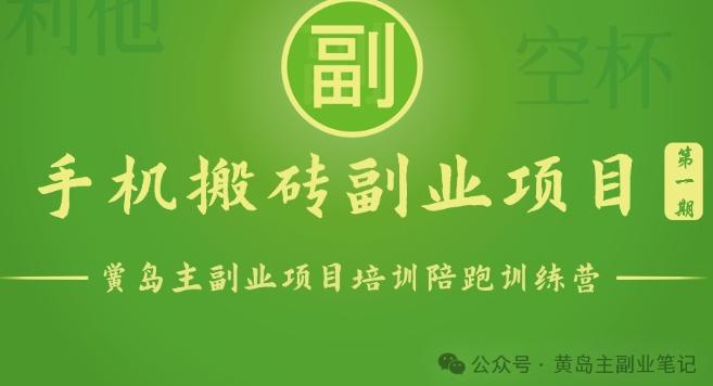 手机搬砖小副业项目训练营1.0，实测1小时收益50+，一部手机轻松日入100+-爱省资源网