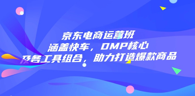 京东电商运营班：涵盖快车，DMP核心及各工具组合，助力打造爆款商品-爱省资源网