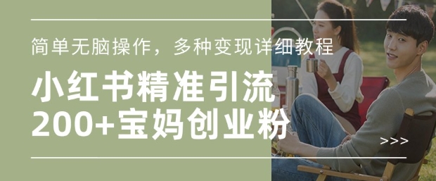 小红书混剪日引200+宝妈创业粉，简单无脑操作，多种变现详细教程-爱省资源网