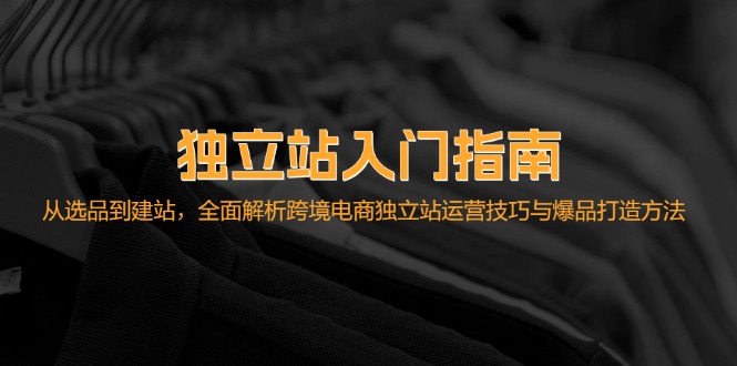独立站入门指南：从选品到建站，全面解析跨境电商独立站运营技巧与爆品…-爱省资源网