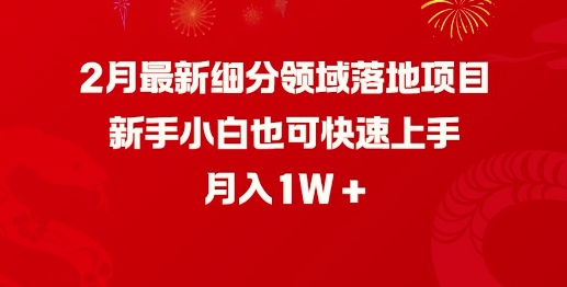 2月最新细分领域落地项目，新手小白也可快速上手，月入1W-爱省资源网