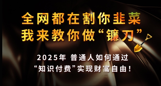 全网都在割你韭菜，我来教你做镰刀，2025年普通人如何通过 知识付费 实现财F自由【揭秘】-爱省资源网