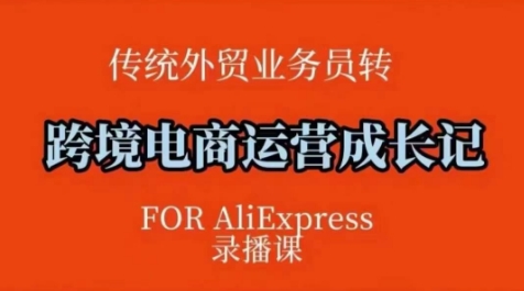 跨境电商速卖通运营课，​运营方法论+后台实操，逻辑清晰-爱省资源网