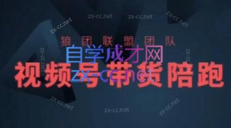 狼团联盟·2024视频号带货-爱省资源网